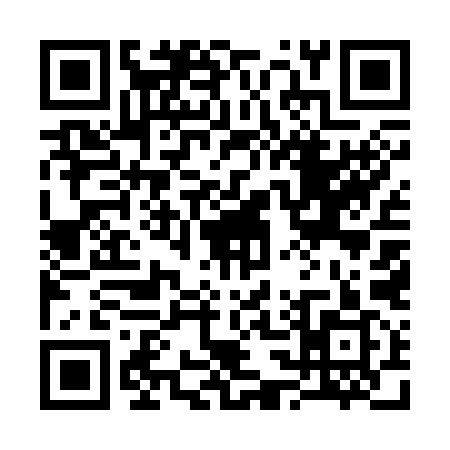 QR code for 335399N