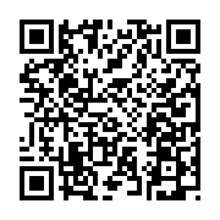QR code for 335509I