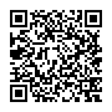 QR code for 335839V