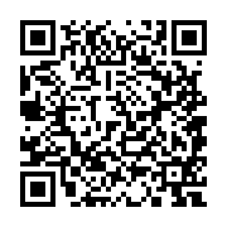 QR code for 336194N