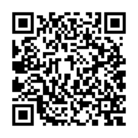 QR code for 336225H