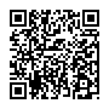 QR code for 336447P