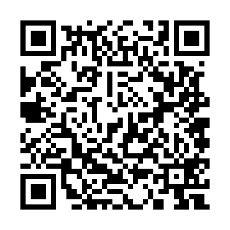 QR code for 336519W