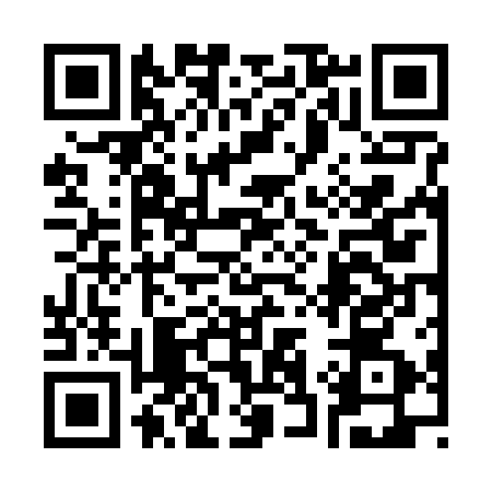 QR code for 336612P