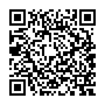 QR code for 336613P