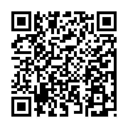 QR code for 337838Y