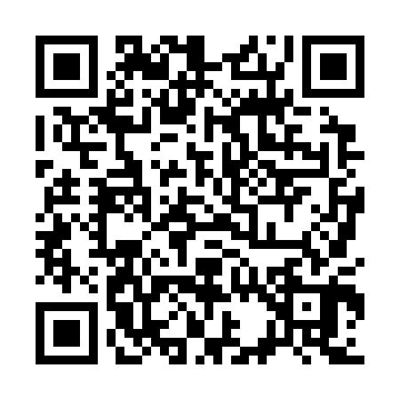 QR code for 338300T