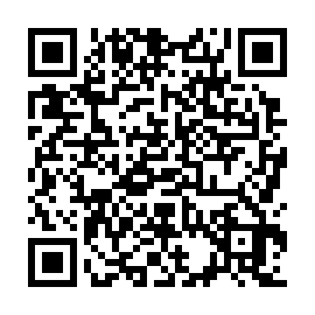 QR code for 338333S