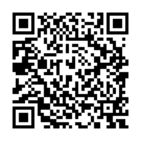 QR code for 338391Z