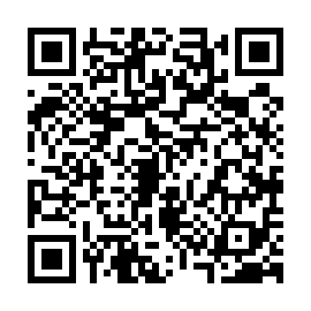 QR code for 338519G