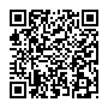 QR code for 3385538
