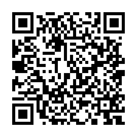 QR code for 338555W