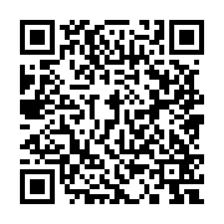 QR code for 338563F
