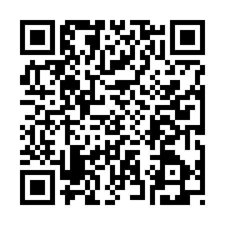 QR code for 3387771