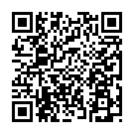 QR code for 338838H