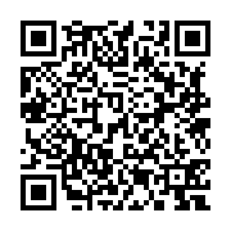 QR code for 3538311
