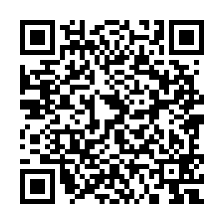 QR code for 368799N