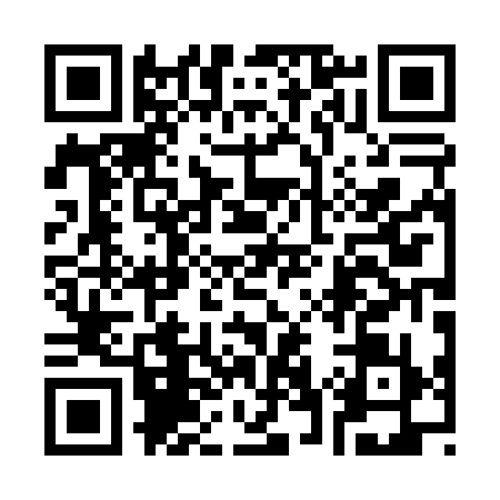 QR code for 3700391