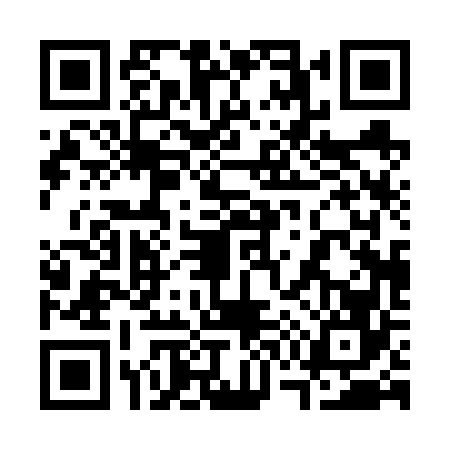 QR code for 3706661