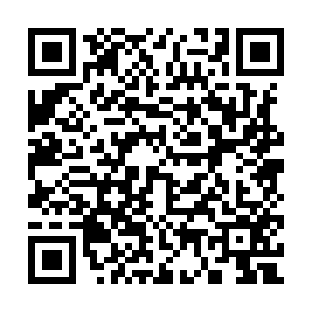 QR code for 3709565