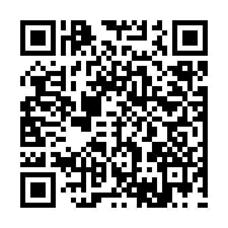 QR code for 376332P