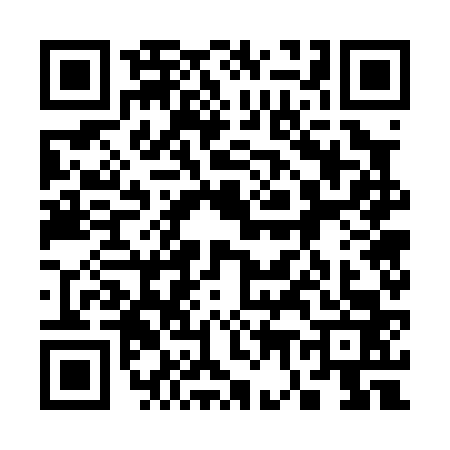 QR code for 3770633