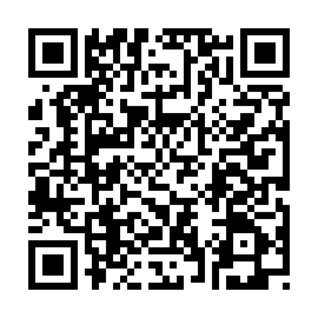 QR code for 378505X
