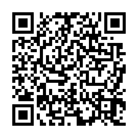 QR code for 378743M