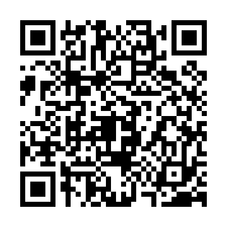 QR code for 379033P
