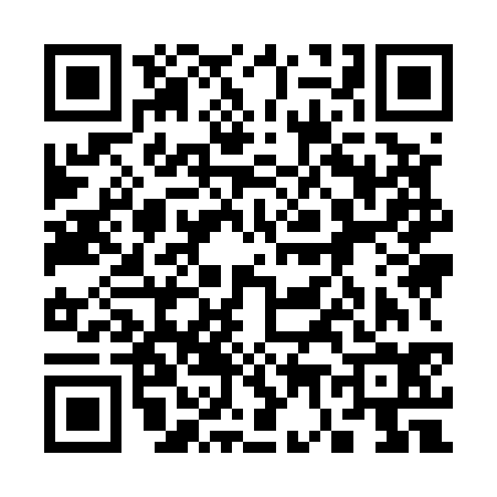 QR code for 379534N