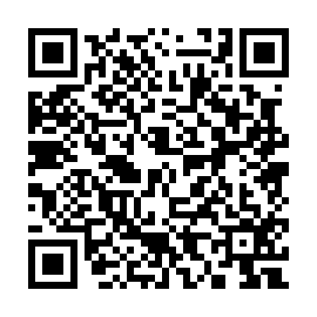 QR code for 3800161