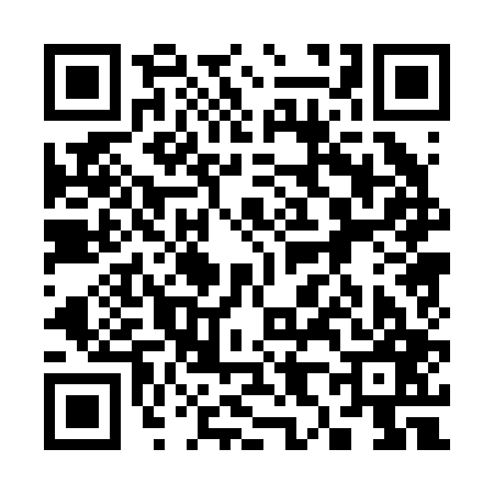 QR code for 380207K