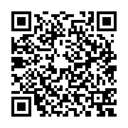 QR code for 380230T