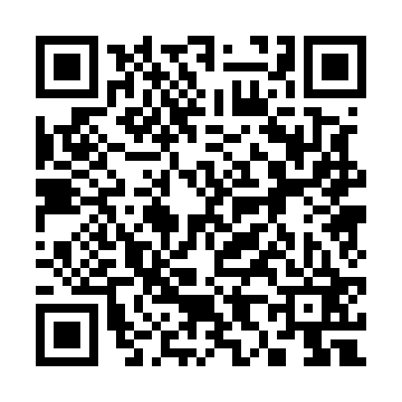 QR code for 380523U