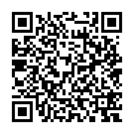 QR code for 3807287