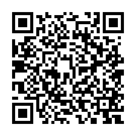 QR code for 3807411