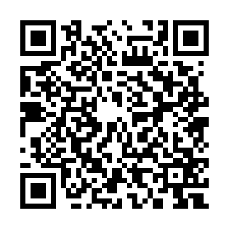 QR code for 3807663