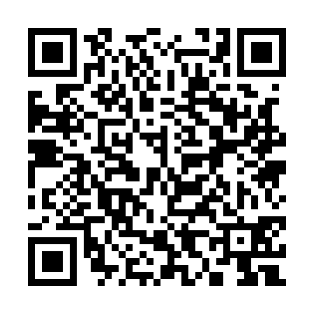 QR code for 381130T