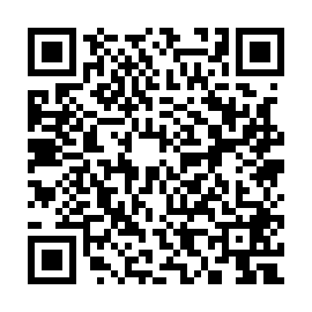 QR code for 3811484