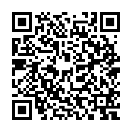 QR code for 381300N