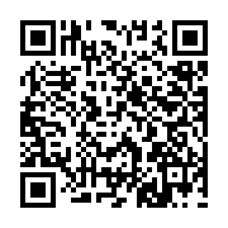 QR code for 381390P
