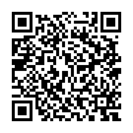 QR code for 381417X