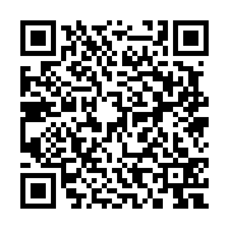 QR code for 3814334