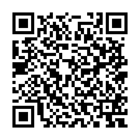 QR code for 381501N