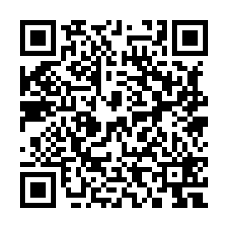 QR code for 381829T