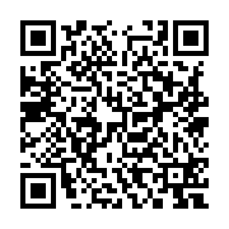 QR code for 381920P