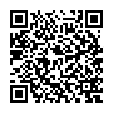 QR code for 382219C