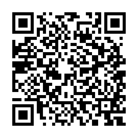 QR code for 382281X
