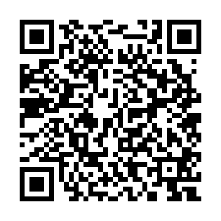 QR code for 382300K