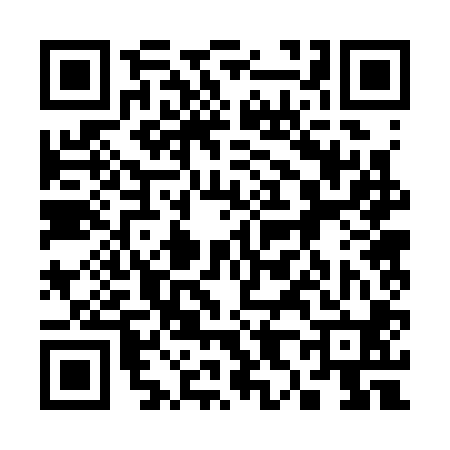 QR code for 382300T